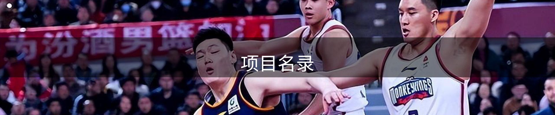 项目名录